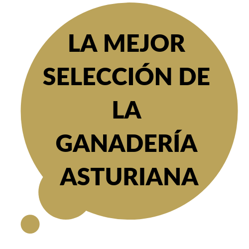 La mejor selección de la ganadería asturiana